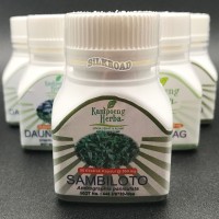 SAMBILOTO OBAT HERBAL ANTIBIOTIK UNTUK RADANG,BATUK,PILEK,TIFUS,typus
