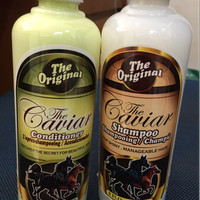 SHAMPO KUDA THE CAVIAR UNTUK RAMBUT RONTOK SAMPO KUDA 250ml