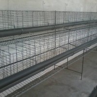 Batree atau kandang ayam petelur dan puyu