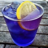 Teh Biru Murni Summafam - bunga telang kering - Pure Organic Blue Tea