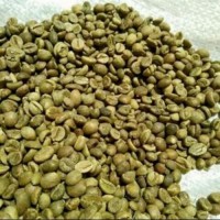 Jual Kopi Lampung (Green Bean) Murah