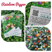 Bibit Cabe / Benih Cabai Pelangi/ Bolivian Rainbow Pepper Bell Import