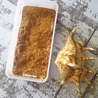 DASHI bubuk HALAL 100gr katsuobushi halus bahan kaldu ikan non msg