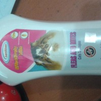 shampo kutu kucing fleas mites tick kucing Murah