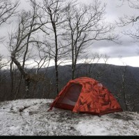 the north face homestead roomy 2
