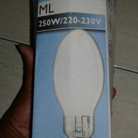 Lampu Merkuri Mercury Lamp 250 watt E40