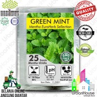 Benih Herbs - Benih Green Mint Mentha Import Bibit Bunga Tanaman Herba