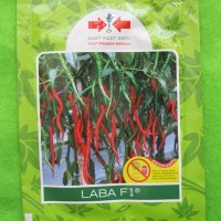 Benih Cabai Cabe Keriting Laba F1 Pack 150 Biji - Panah Merah