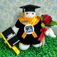 Jual Boneka Wisuda Baymax Murah