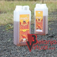 Jual MADU MURNI BUNGA RANDU Murah