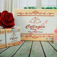 Cream collagen plus vit e day night cream original holo super