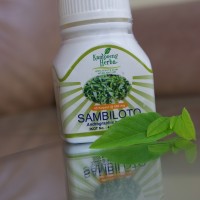 SAMBILOTO OBAT HERBAL ANTIBIOTIK UNTUK RADANG, BATUK, PILEK, TIFUS