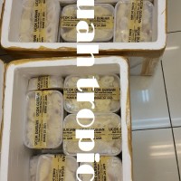 Jual Durian Kupas Ucok Medan 100% ASLI Murah