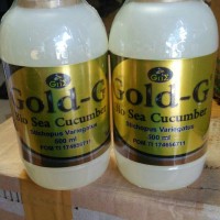 Jual Jelly Gamat Gold G 500 ml Original Murah