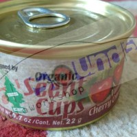 Jual Parfum mobil Little Trees organic scent cups Murah