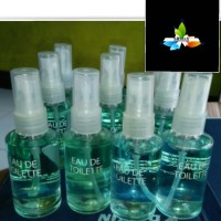 Jual PARFUM EAU DE TOILETTE EDT MASKAPAI GARUDA INDONESIA 60 ML Murah