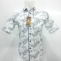 Kemeja Batik Pria Slim Fit / Baju Batik Pekalongan / Batik Indonesia