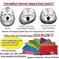 Jual jual eceran bantal kesehatan bayi olus pilow umur 0-9bulan Murah