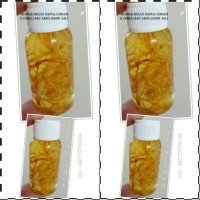 Jual MINYAK BULUS GINSENG 30ML (ASLI BAU AMIS) Murah