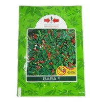 Benih Panah Merah Cabe Rawit Bara