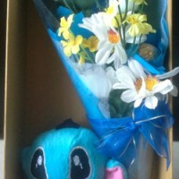 Jual Parsel bunga, boneka Stitch dan coklat Ferrero Murah