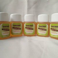 Solusi Alami Penumbuh Rambut Seperti Green angelica - Minyak Kemiri