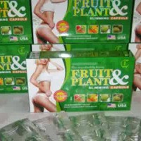 Jual Obat Herbal Pelangsing Badan Fruit Plant Murah Murah