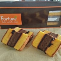 Jual Spiku Fortune 24 X 8.5 X 5.5 Murah