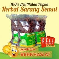 Jual Sarang Semut Merah Papua (Dijamin 100% Asli) Murah