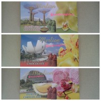 Jual Souvenir Chocolate coklat durian almond green tea merlion singapore Murah