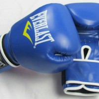 Jual SARUNG TINJU / MUAYTHAI / THAI BOXING EVERLAST Murah