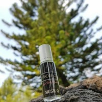 Jual Parfum Gardiaflow Musk Q Tester 5ml Pria Cowok muskq Murah