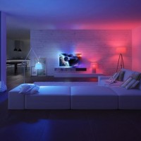 Philips 259960 Amazon Echo Alexa Friendly