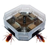 Jual Cockroach Trap - Perangkap Kecoa Kecoak Pembasmi Serangga Hama - Large Murah