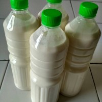 Jual kefir susu sapi Murah