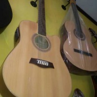 Gitar akustik senar 12 ibanez fishman