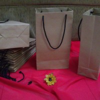 Jual Tas Kertas /Paper Bag Polos Uk.13,5 x 8 x 24,5 cm Murah