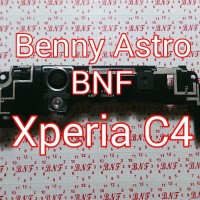 Lensa Kaca Kamera, Antena Wifi Sony Xperia C4 Dual, C4 Single,Original
