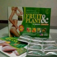 Jual FRUIT PLANT Murah