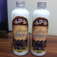 Jual SHAMPOO PENUMBUH RAMBUT SHAMPOO KUDA CAVIAR SHAMPOO Murah