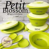 Jual PROMOOO MURAH DISKON Tupperware Petite Blossom Murah