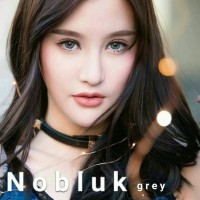 Jual Softlens Dreamcolor NOBLUK Murah