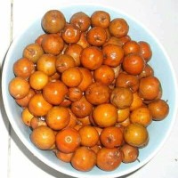 Jual Bibit Biji Bidara Arab Murah