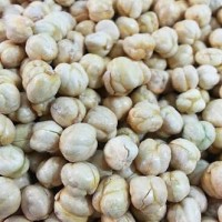 Jual Kacang Arab Murah