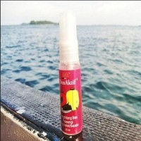 Jual Pengharum Helm, Pembasmi Kuman dan Bau pada Helm, Jaket, Sepatu, dll Murah