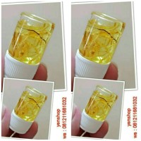 Jual BULUS PAPUA GINSENG ORIGIONAL 10ML Murah