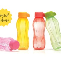 Jual Tupperware-Botol Minum-Tupperware Eco Bottle 310 ml Murah