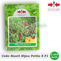 Jual Benih/Bibit Cabe Rawit Hijau Pelita 8 F1 (Cap Panah Merah) Murah