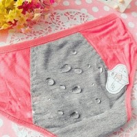 Jual CELANA DALAM WANITA MENSTRUASI CD MENS ANTI BOCOR TEMBUS WATERPROOF Murah