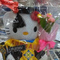Jual Boneka Wisuda Hello Kitty 25 cm Atribut Lengkap Kado Romantis Murah